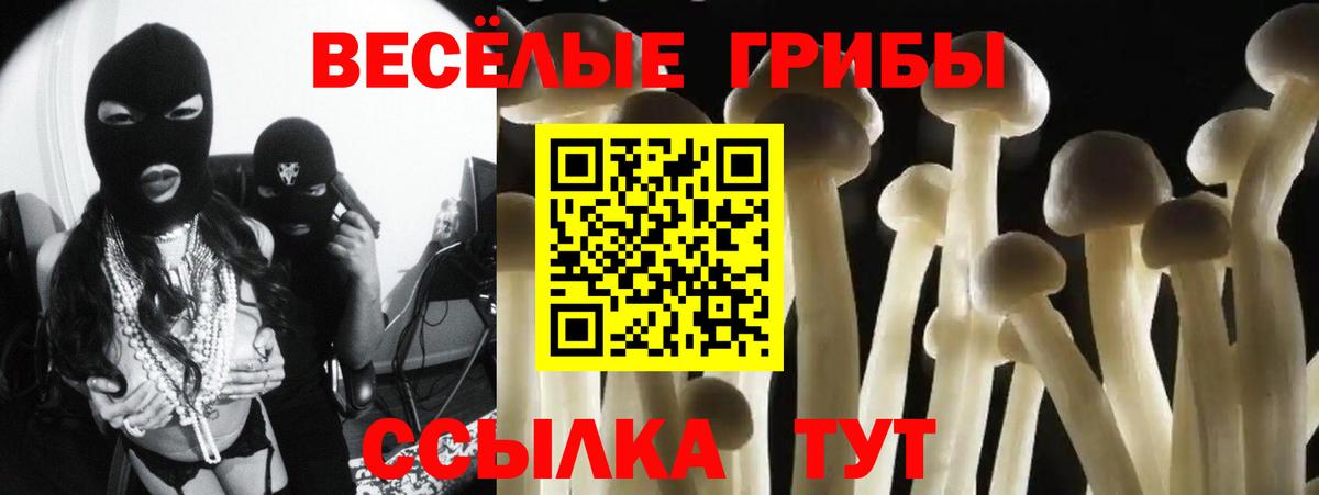 Галлюциногенные грибы Magic Shrooms  Псилоцибиновые грибы Psilocybine cubensis  Вход с VPN  наркотики  Кандалакша 